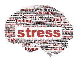 Are there any students who dont feel stress?  Stress is a never ending thing. If youre not stressing, youre doing something wrong. Marshall Joyce (Class of 2019)
Photo Credit: mnu.edu