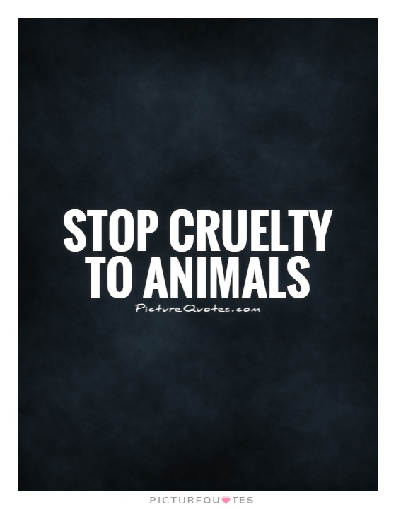 Animal Cruelty: Where does it begin? 